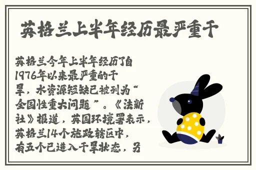 女婿有劲枪枪到底